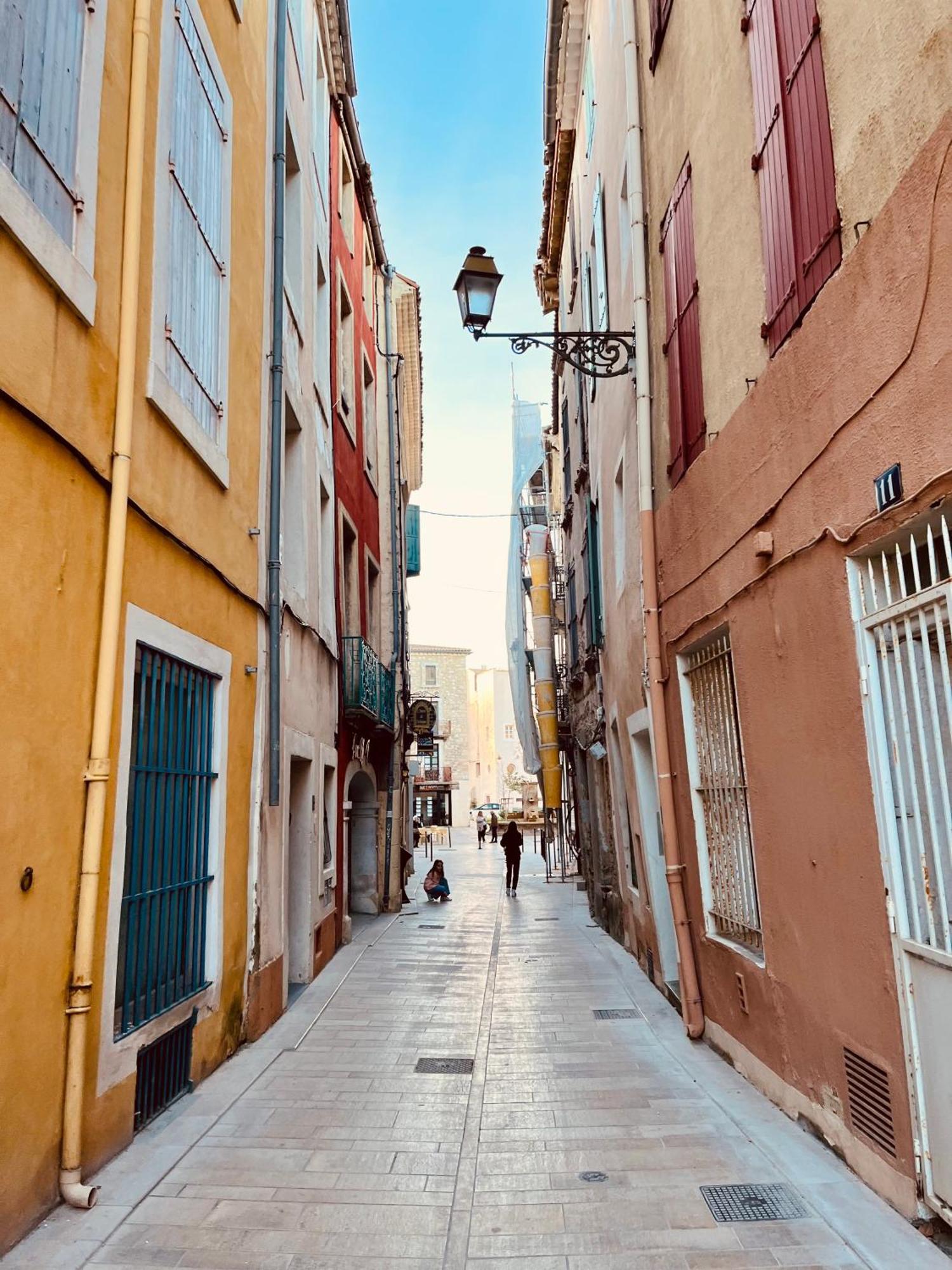 Appartement Chez Rose Narbonne Exterior photo